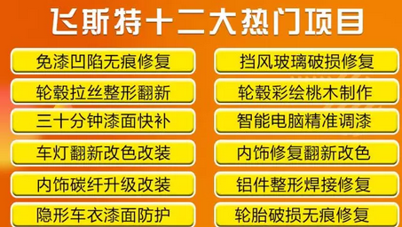 飞斯特汽车科技十二大技术培训项目